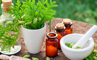 The Natural World Is Your Pharmacy – The Fascinating World Of Homeopathic Remedies