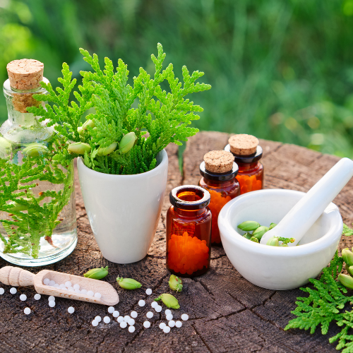 The Natural World Is Your Pharmacy – The Fascinating World Of Homeopathic Remedies